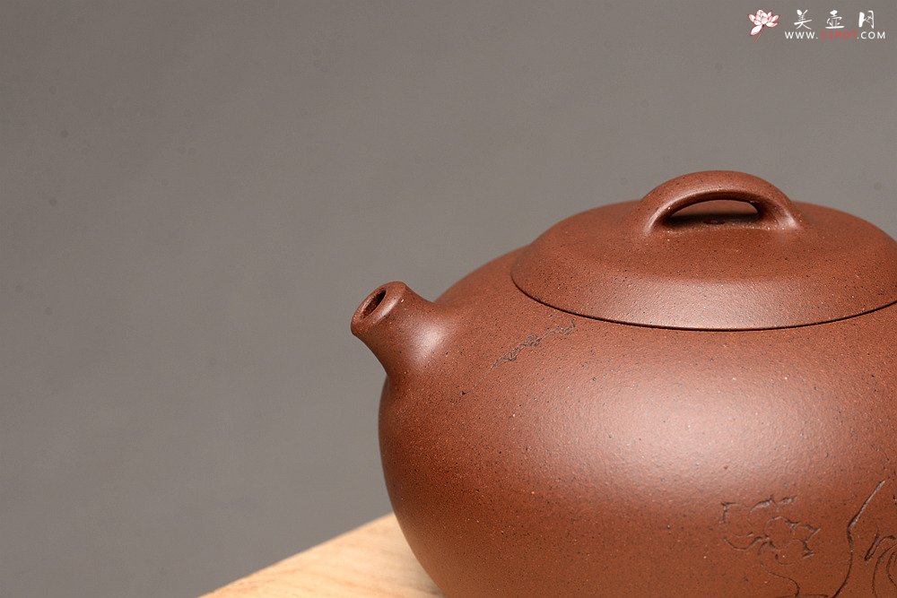 紫砂壶图片：圆润饱满 全手润泉 许嘉年夫人杨米娜全手作品 游心堂精心刻绘 - 美壶网