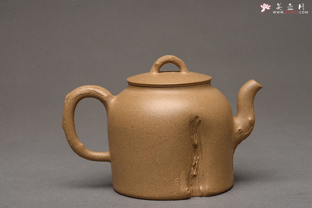 紫砂壶图片：高雪琴全手新作 优质段泥 端庄丰润 缎松 松皮逼真 - 美壶网