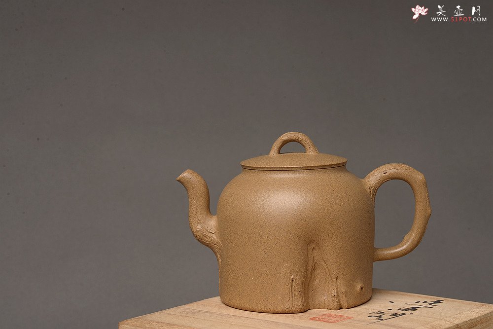 紫砂壶图片：高雪琴全手新作 优质段泥 端庄丰润 缎松 松皮逼真 - 美壶网