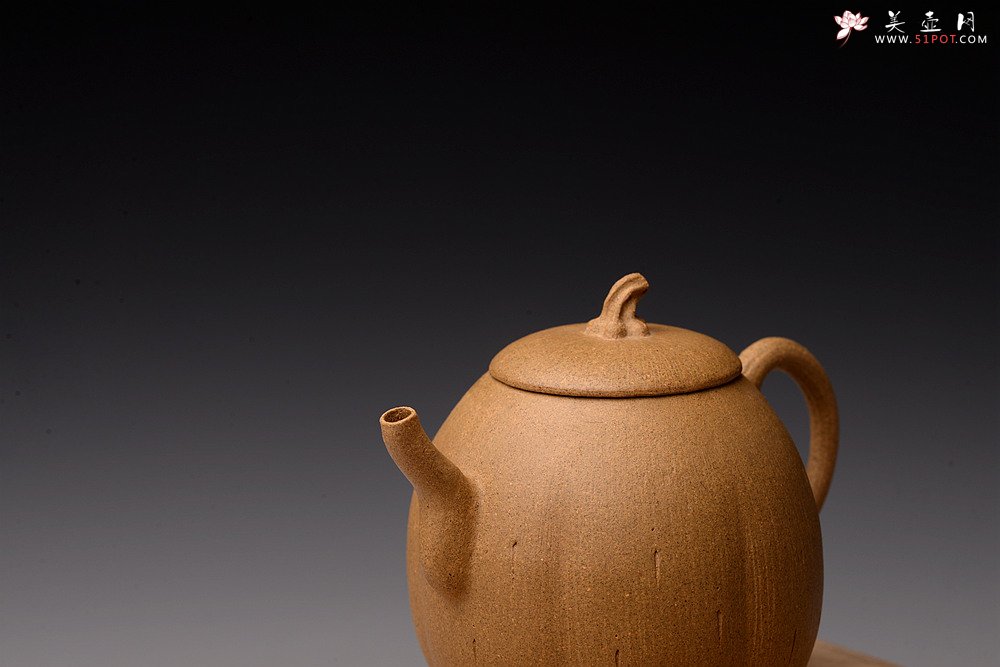 紫砂壶图片：姜建荣全手作品 硕果二 古拙有趣 秀气可人 - 美壶网