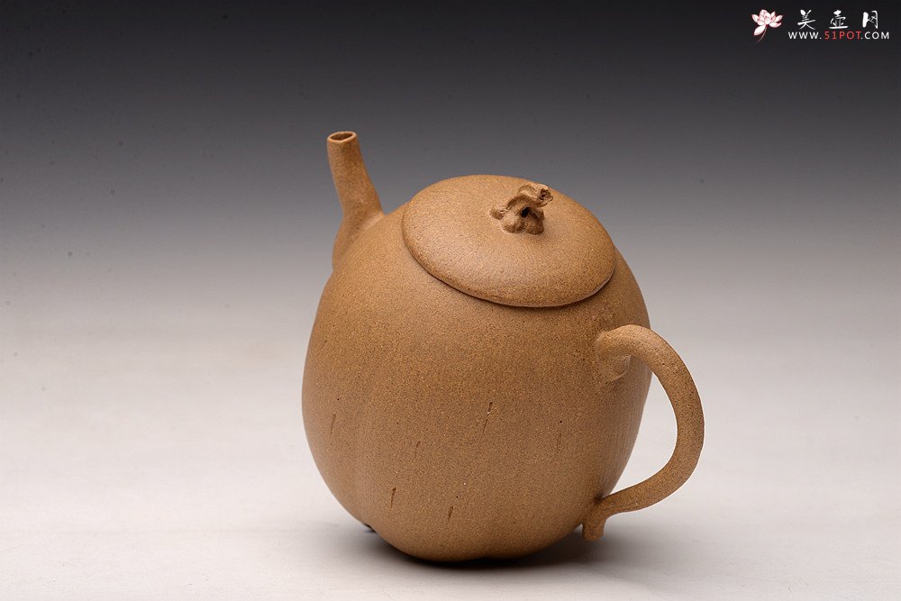 紫砂壶图片：姜建荣全手作品 硕果二 古拙有趣 秀气可人 - 美壶网