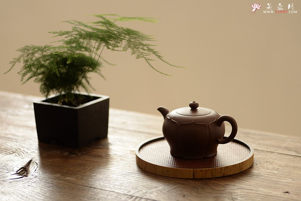 紫砂壶图片：蔡旭伟丙申春全手作品 秀丽可爱 筋纹小花 荷韵 - 美壶网