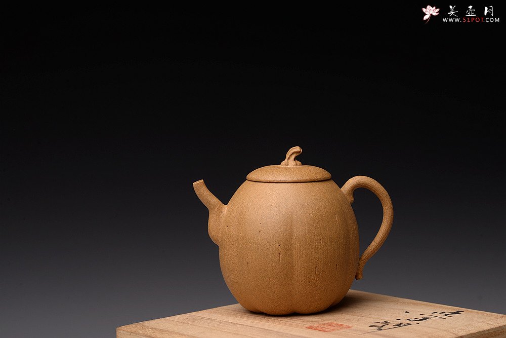 紫砂壶图片：姜建荣全手作品 硕果二 古拙有趣 秀气可人 - 美壶网