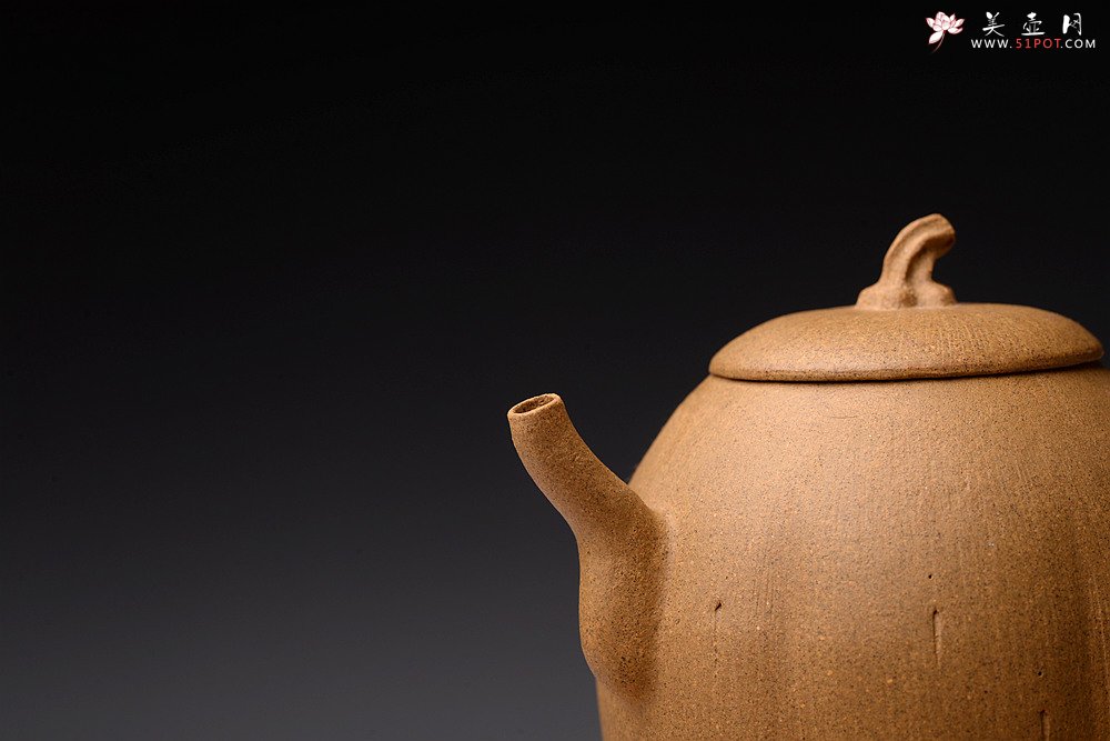 紫砂壶图片：姜建荣全手作品 硕果二 古拙有趣 秀气可人 - 美壶网