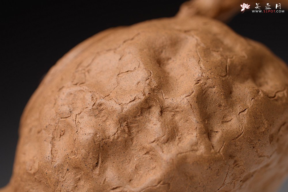 紫砂壶图片：谢多莲丙申初夏 肌理自然生动  全手小龚春 古朴之味 - 美壶网