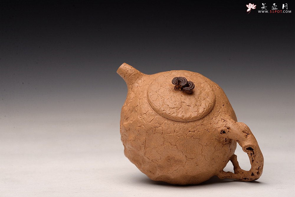 紫砂壶图片：谢多莲丙申初夏 肌理自然生动  全手小龚春 古朴之味 - 美壶网