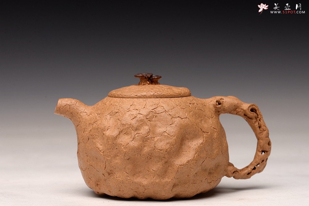 紫砂壶图片：谢多莲丙申初夏 肌理自然生动  全手小龚春 古朴之味 - 美壶网