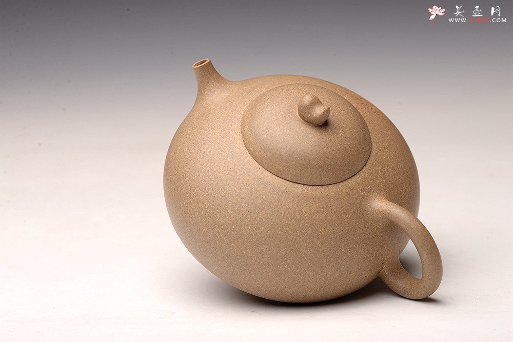 紫砂壶图片：储亚丙申初夏作品 全手秋意 颇具玩味 荷塘清趣 优质本山段 - 美壶网