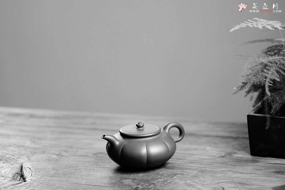 紫砂壶图片：陈进丙申初夏全手新作 筋囊器型 难度之大 端庄优雅 秋蕾 - 美壶网