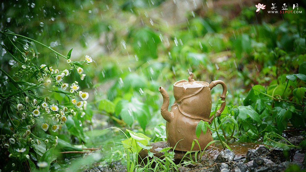 紫砂壶图片：林秀明丙申夏全手原创 摹竹韵寓隐逸之风  隐逸 养怡之福可得永年 - 美壶网