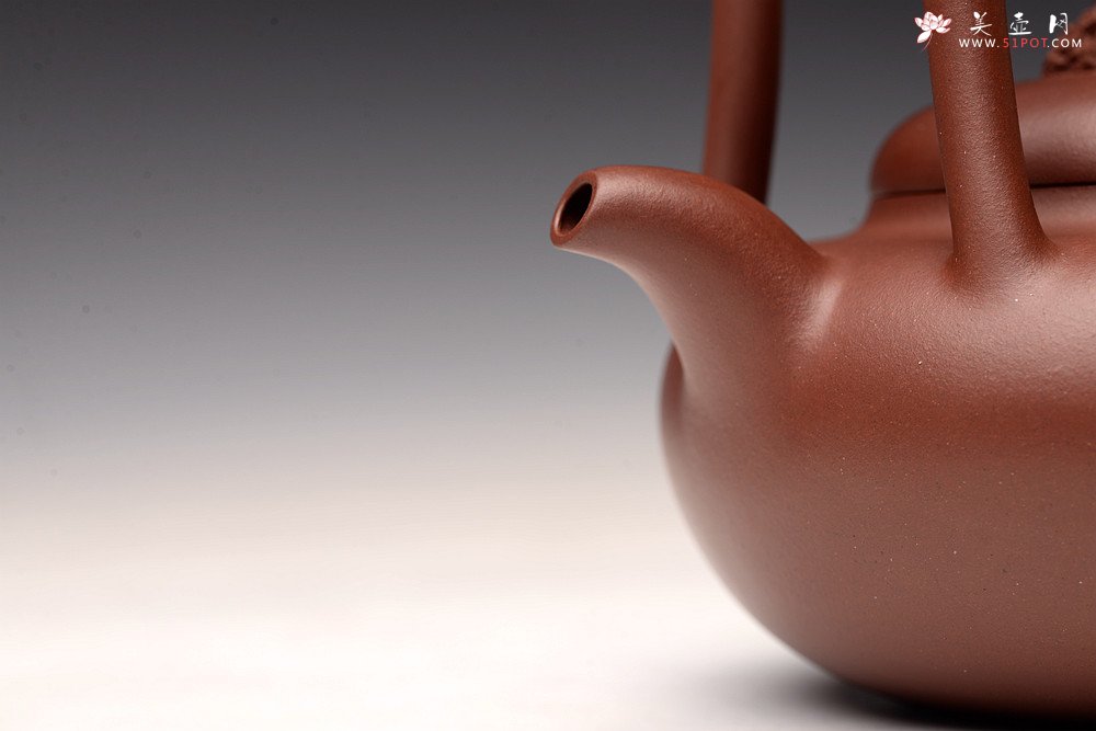 紫砂壶图片：储俊伟丙申夏全手精品 大气磅礴 四号井底槽青 摹古太湖石提梁 - 美壶网