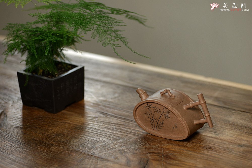 紫砂壶图片：耿其群创意新作 个性演绎 别具意趣  全手清风竹段  - 美壶网