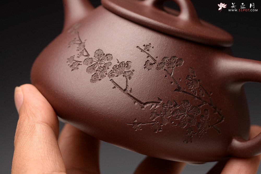 紫砂壶图片：梅骨兰香 全手子冶石瓢 骨肉均挺之精品 - 美壶网