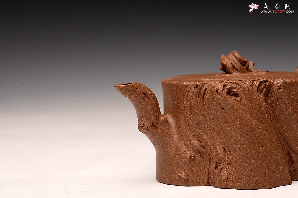 紫砂壶图片：林月长丙申夏全手原创精品 肌理丰富 紫砂新风 学院派 逸林 - 美壶网