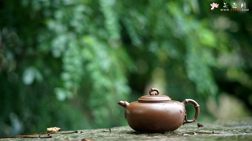 紫砂壶图片：实力派潘丹初丙申夏 优质紫泥  国画入壶 秀雅文气 全手原创福竹o(∩_∩)o - 美壶网