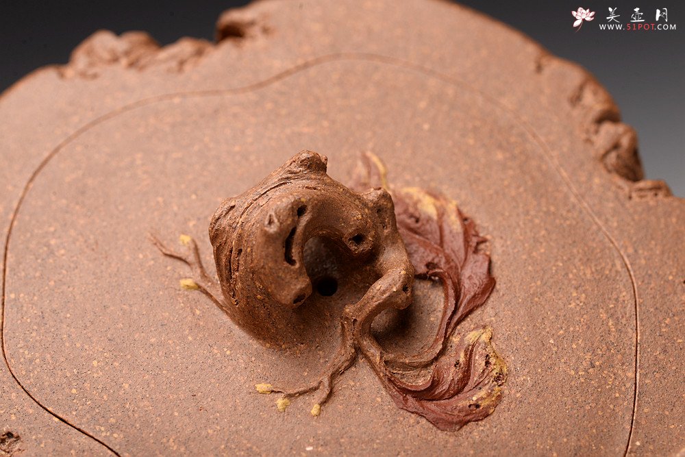 紫砂壶图片：林月长丙申夏全手原创精品 肌理丰富 紫砂新风 学院派 逸林 - 美壶网