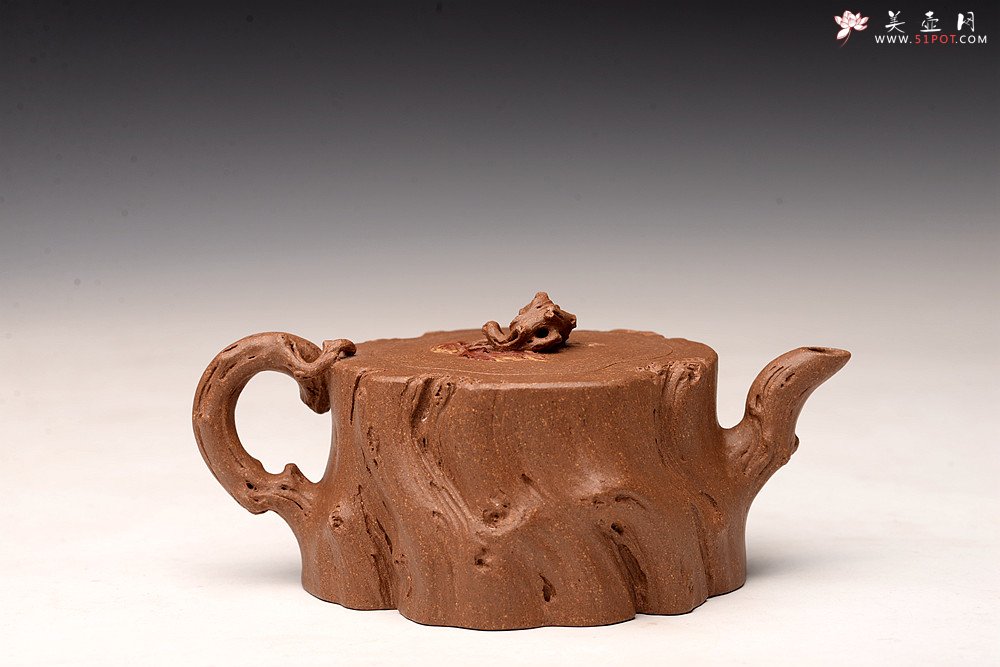 紫砂壶图片：林月长丙申夏全手原创精品 肌理丰富 紫砂新风 学院派 逸林 - 美壶网