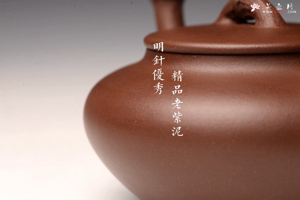 紫砂壶图片：沈秋伟丙申夏全手作品 饱满温润 气韵贯通 精品老紫泥 竹影 - 美壶网