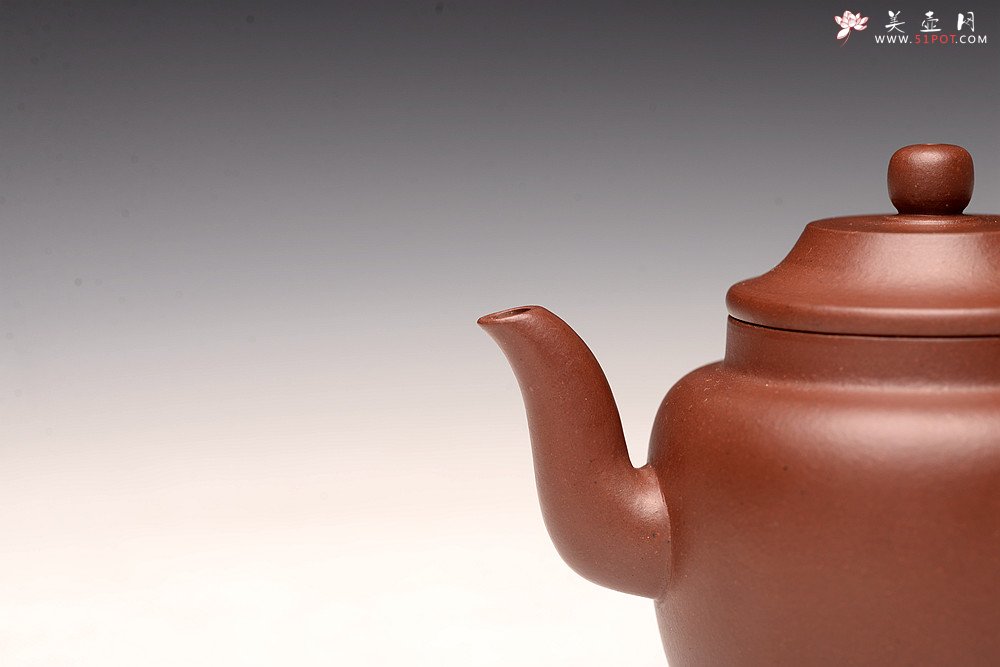 紫砂壶图片：王薇丙申夏全手新作 摹古宫灯 高挑古朴 适用发酵类茶 - 美壶网