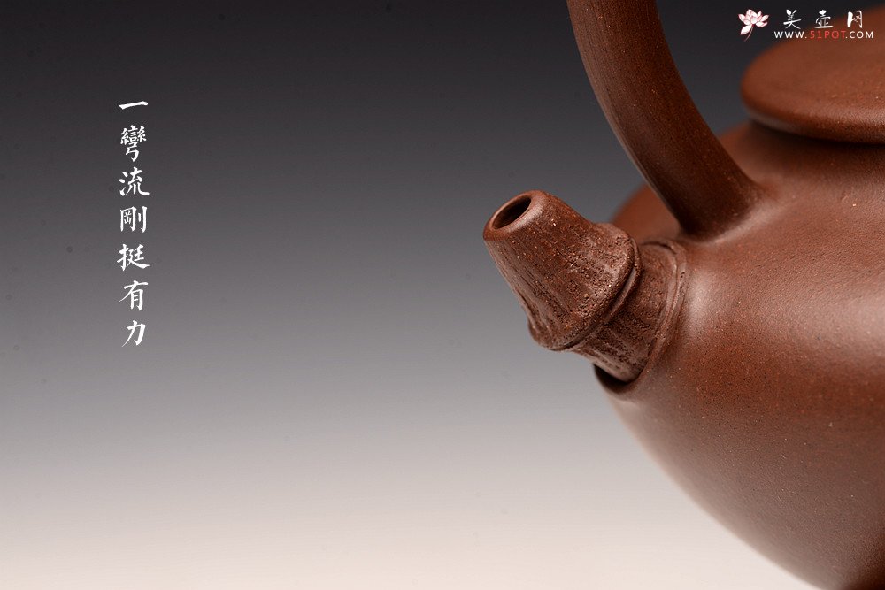 紫砂壶图片：沈秋伟丙申夏全手作品 饱满温润 气韵贯通 精品老紫泥 竹影 - 美壶网