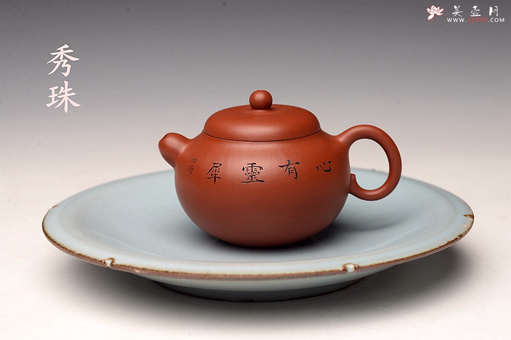 紫砂壶图片：茶盘尤物 原矿纯朱泥 秀珠 饱满俏人 赏玩皆宜,  - 美壶网