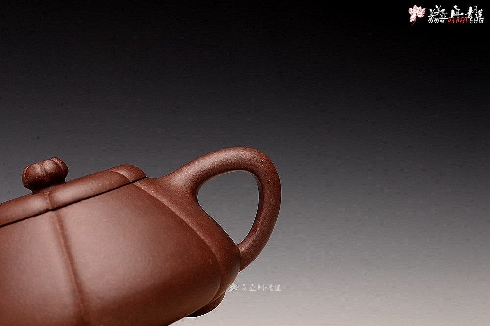 紫砂壶图片：周斌丙申夏全手筋囊器 新梅花石瓢 颇有新意  - 美壶网