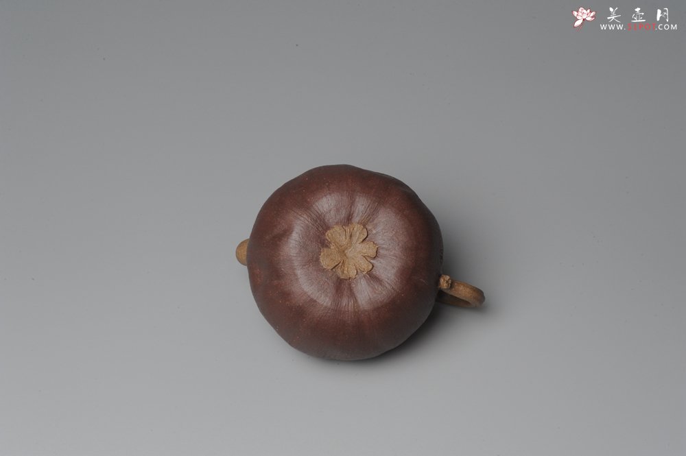 紫砂壶图片：全手工仿生花货 山竹 - 美壶网