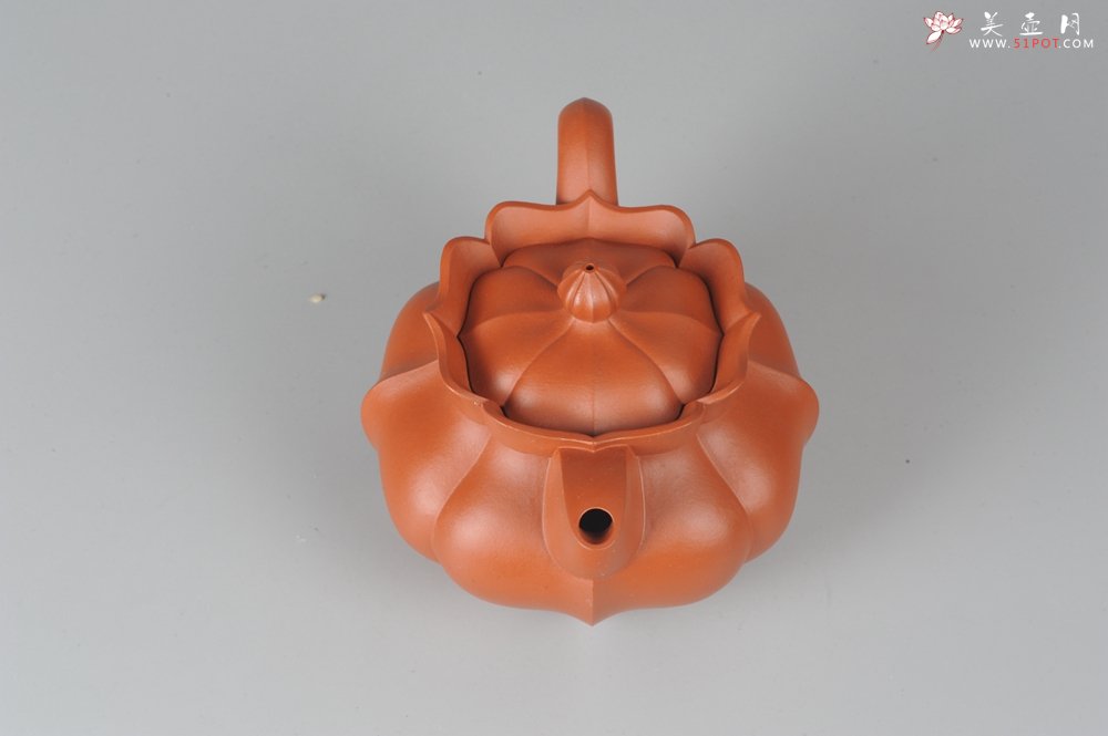 紫砂壶图片：优质小红泥莲花僧帽 线条干净利落 - 美壶网