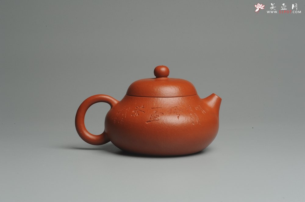 紫砂壶图片：优质赵庄朱泥全手工文旦 方健双刀文气装饰 - 美壶网