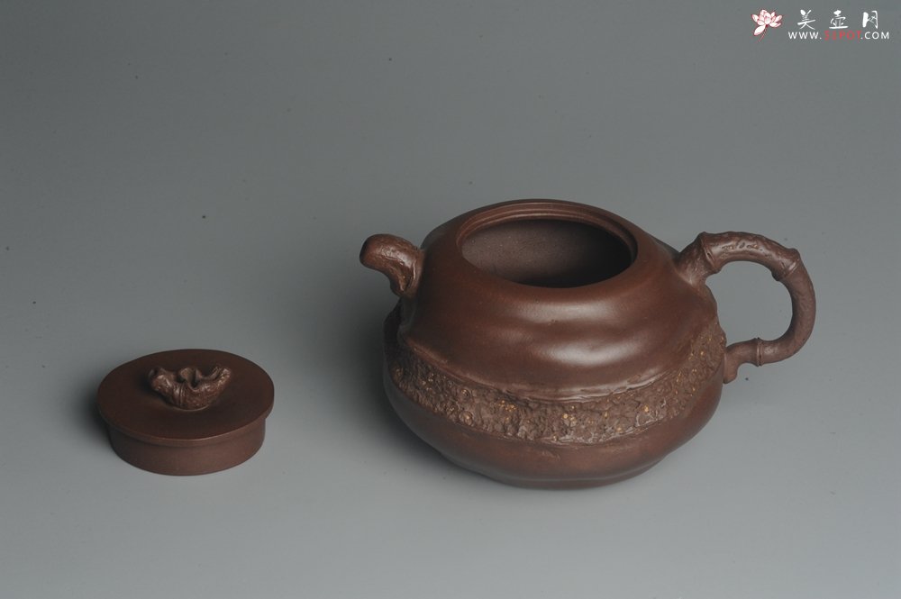 紫砂壶图片：潘丹初全手新作 道法自然 妙趣横生 原创溪竹 - 美壶网