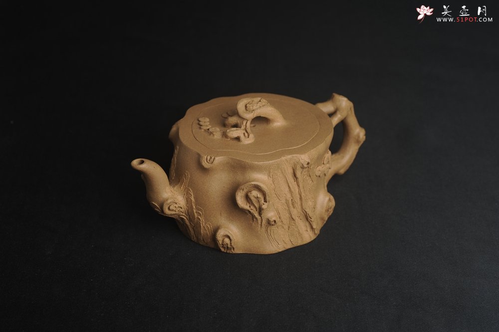 紫砂壶图片：潜力股唐老师 全手工精致老段松桩壶 肌理丰富生动 期待与您结缘 - 美壶网