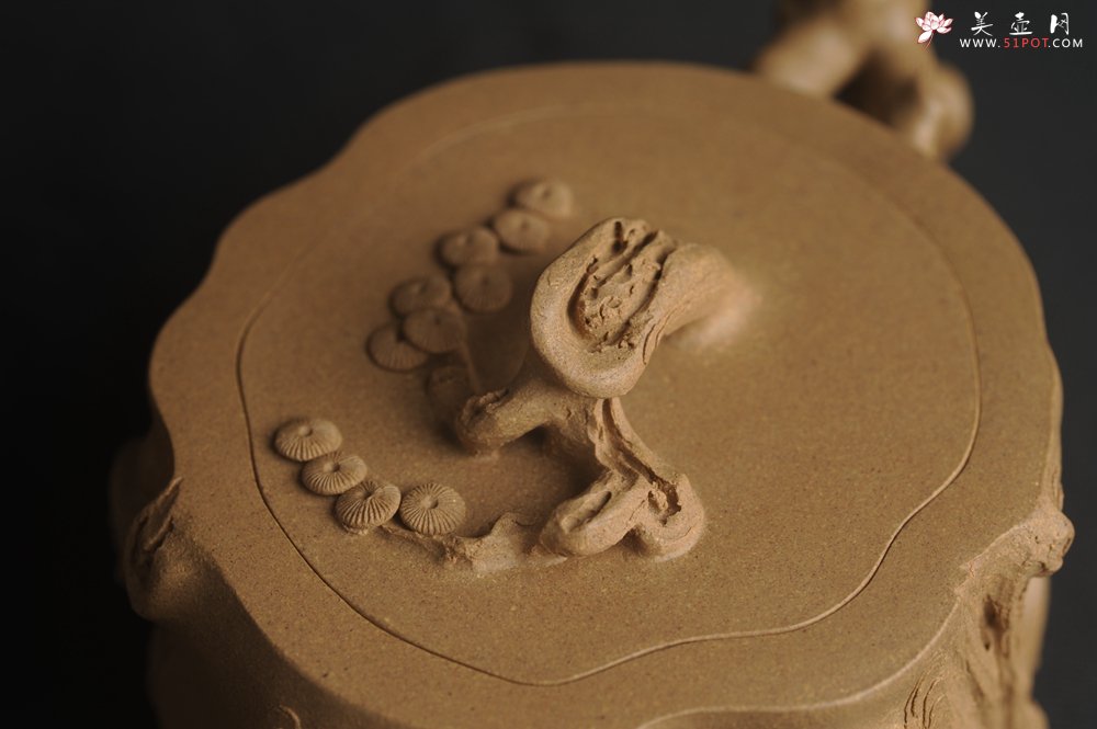 紫砂壶图片：潜力股唐老师 全手工精致老段松桩壶 肌理丰富生动 期待与您结缘 - 美壶网