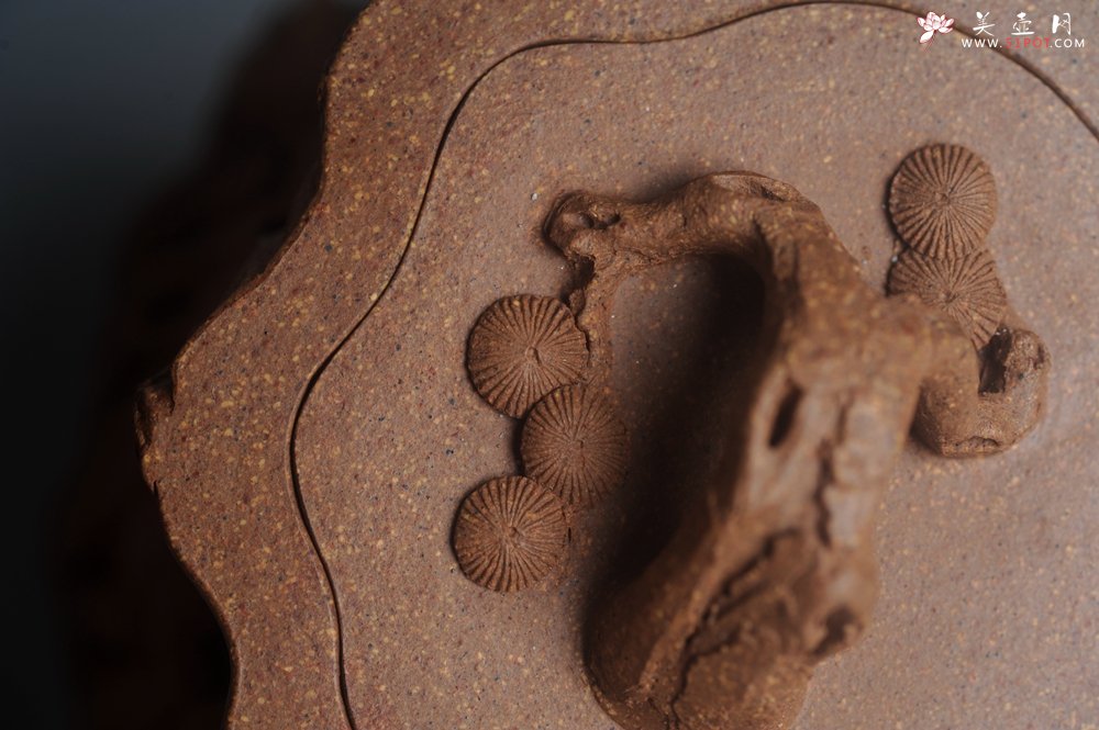 紫砂壶图片：潜力股唐老师 全手工精致老段松桩壶 肌理丰富生动 期待与您结缘 - 美壶网