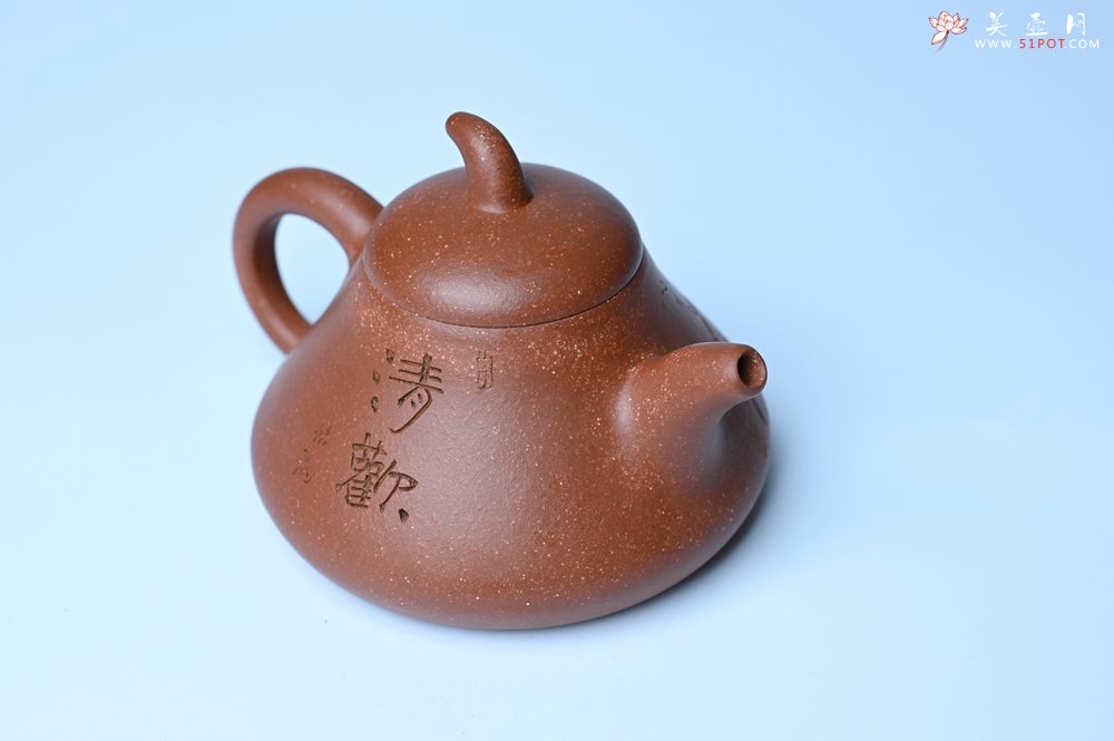 紫砂壶图片：美壶特惠 潜力股王老师 全手工拍打成型茄瓢壶 装饰枯枝鸟 特文气 - 美壶网