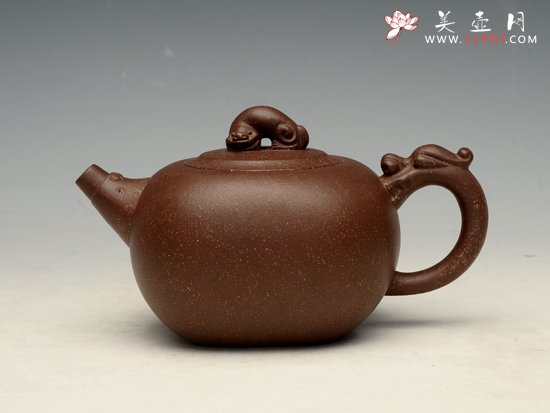 紫砂壶图片：神龙 泥料：金砂点 250cc - 美壶网