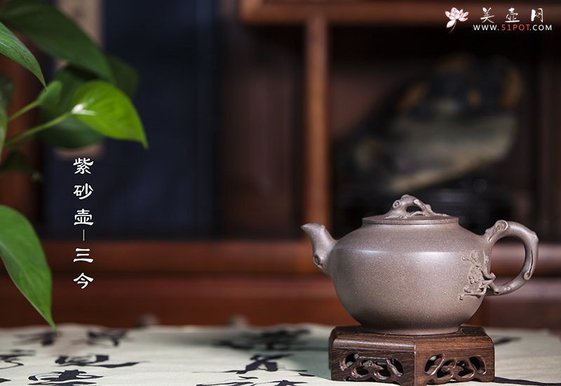 紫砂壶图片：清梅暗香 - 美壶网