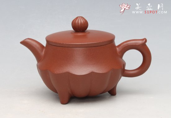 紫砂壶图片：锦囊莲花150CC - 美壶网