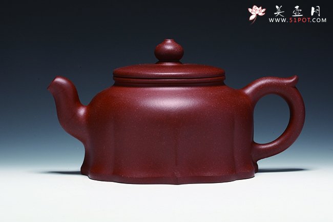 紫砂壶图片：静莲 - 美壶网