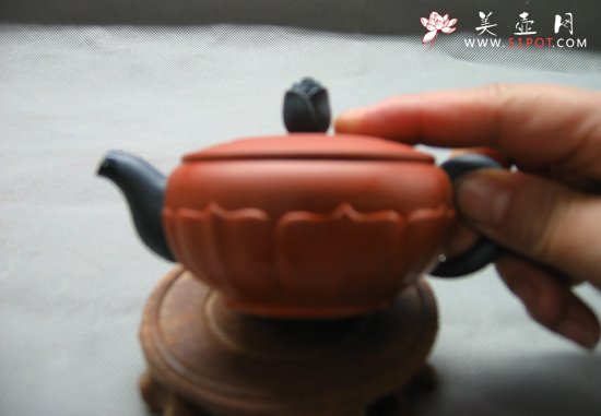 紫砂壶图片：半菊 - 美壶网