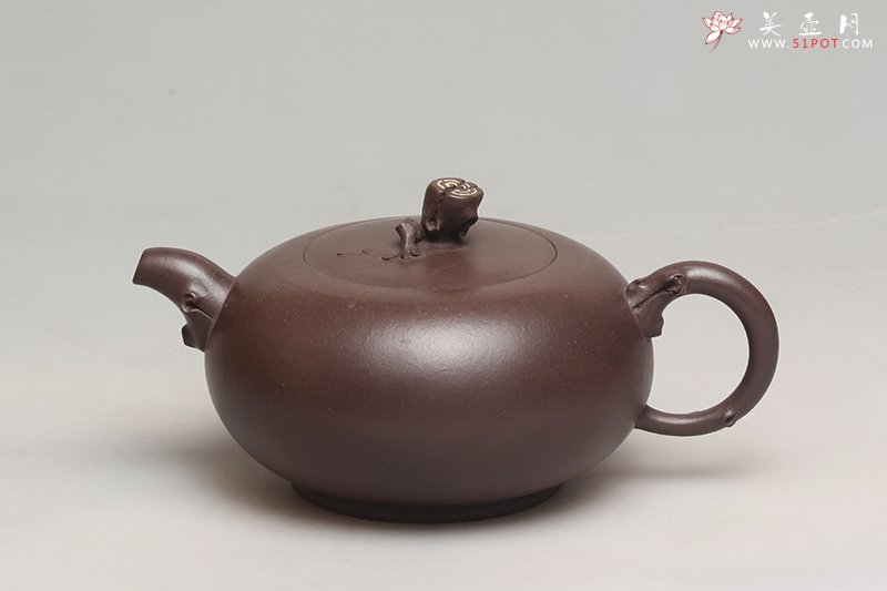 紫砂壶图片：一枝独秀 - 美壶网