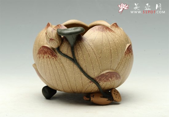 紫砂壶图片：莲子水洗 - 美壶网