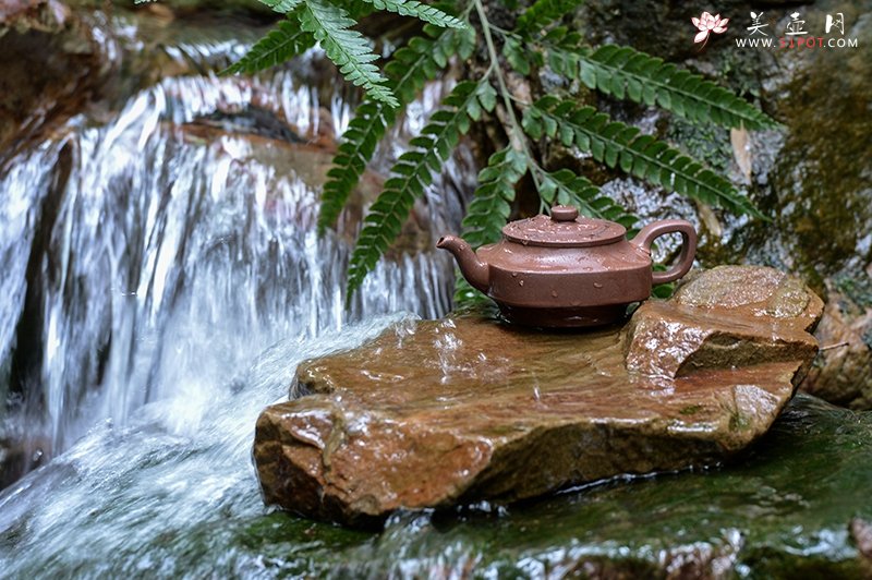 紫砂壶图片：水运壶禅 - 美壶网