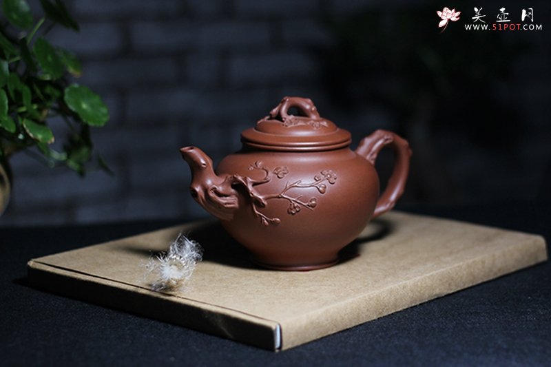 紫砂壶图片：报春 - 美壶网