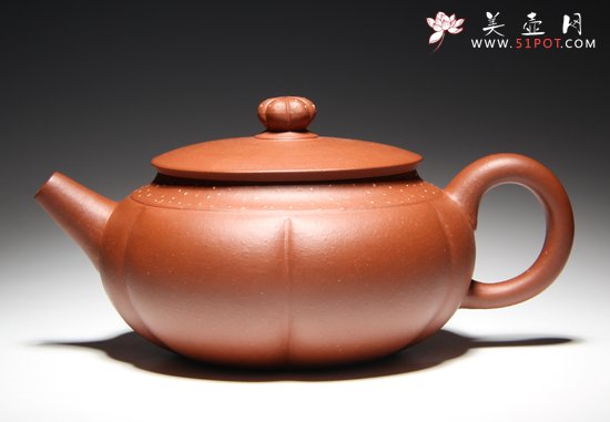 紫砂壶图片：菊香 - 美壶网