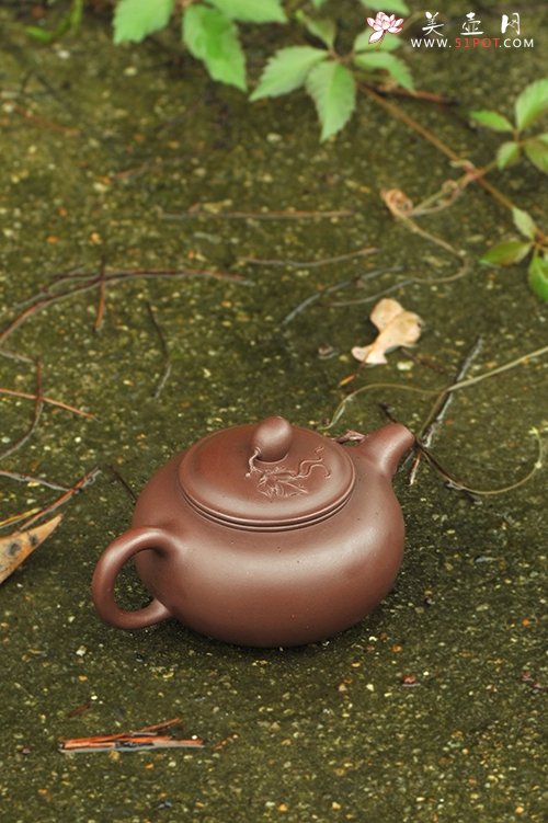 紫砂壶图片：硕果-场景照 - 美壶网