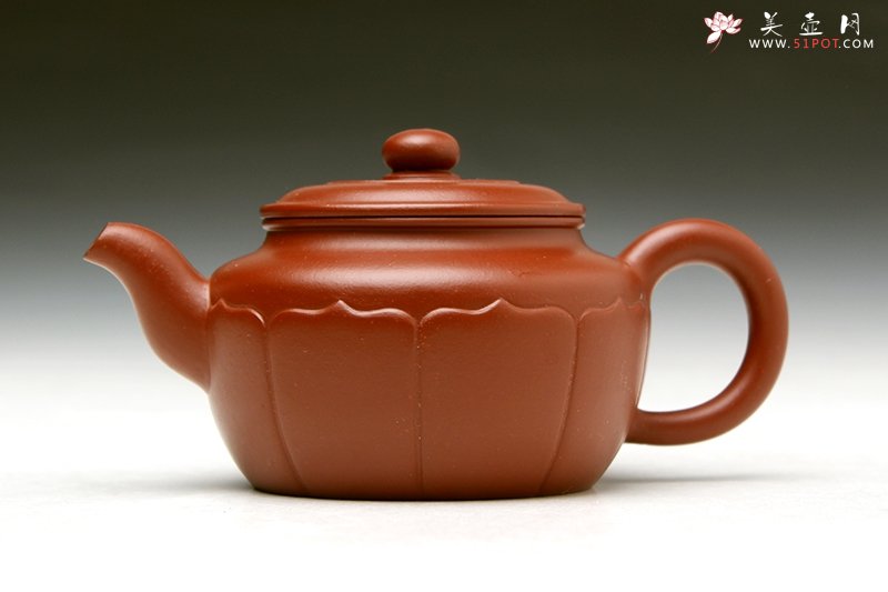 紫砂壶图片：莲花 - 美壶网