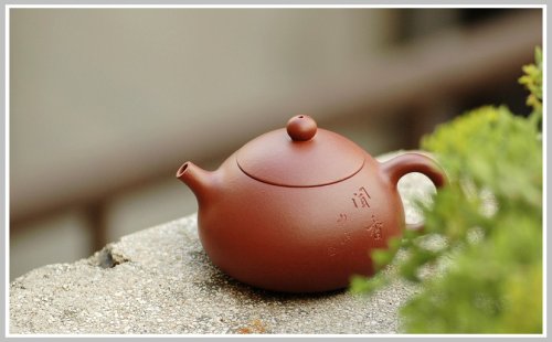 紫砂壶图片：你闻到了什么。。。 - 美壶网