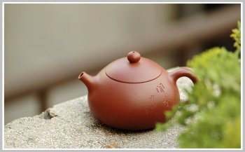 紫砂壶图片：你闻到了什么。。。 - 美壶网