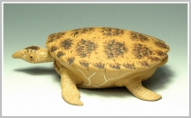 紫砂壶图片：黄金海龟 精细如生 - 美壶网