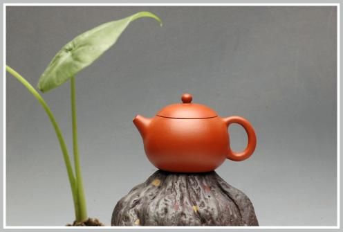 盛益明紫砂壶 迷人手中宝  迷你全手小西施 仅90cc 原矿朱泥